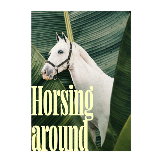 Horsing Around